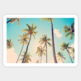 Tamea Palms Sticker